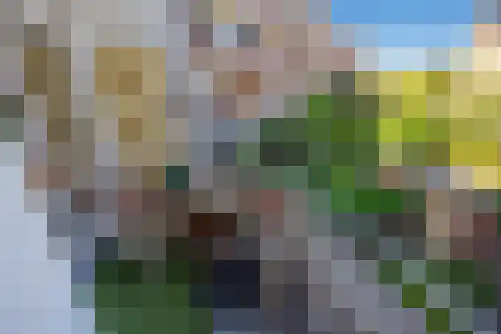 Laan van Meerdervoort 1177 Den Haag thumbnail 19
