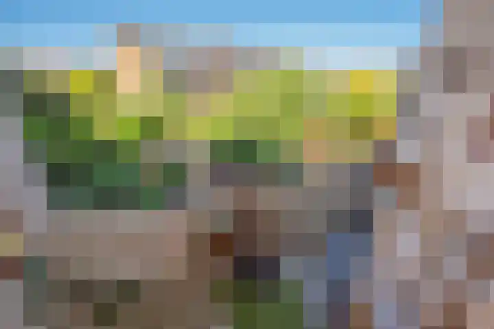 Laan van Meerdervoort 1177 Den Haag thumbnail 20
