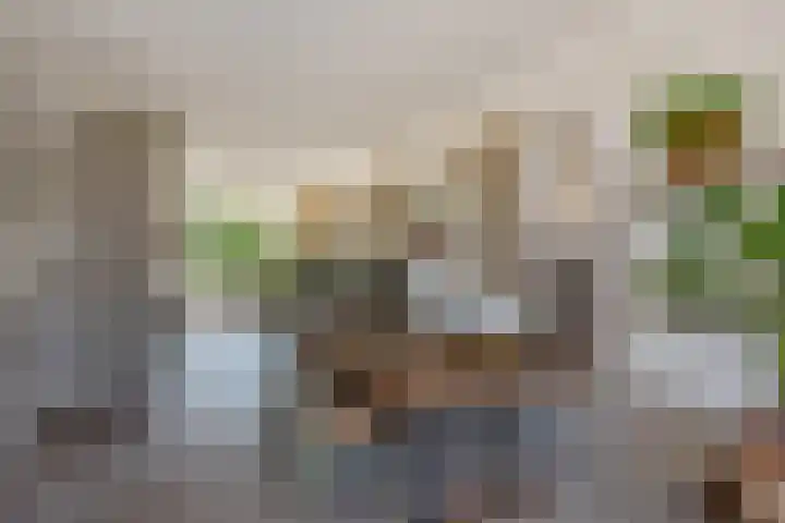 Laan van Meerdervoort 1177 Den Haag thumbnail 21