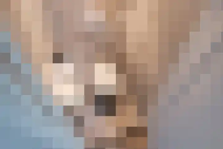 Laan van Meerdervoort 1177 Den Haag thumbnail 23