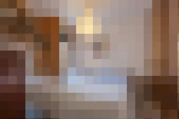 Laan van Meerdervoort 1177 Den Haag thumbnail 26