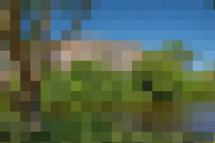 Laan van Meerdervoort 1177 Den Haag thumbnail 31
