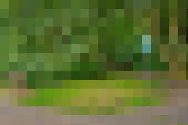Laan van Meerdervoort 1177 Den Haag thumbnail 36