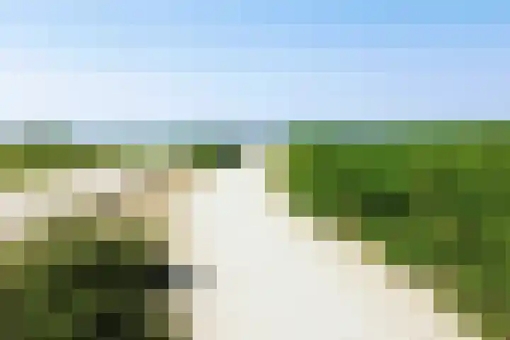 Laan van Meerdervoort 1177 Den Haag thumbnail 39