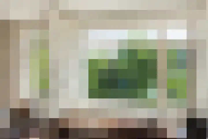 Laan van Meerdervoort 1177 Den Haag thumbnail 5
