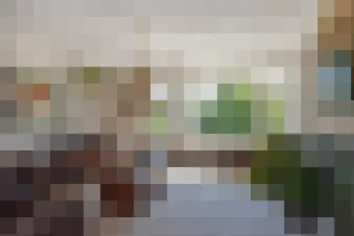 Laan van Meerdervoort 1177 Den Haag thumbnail 9