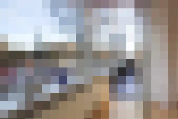 Laan van Meerdervoort 1188 Den Haag thumbnail 10