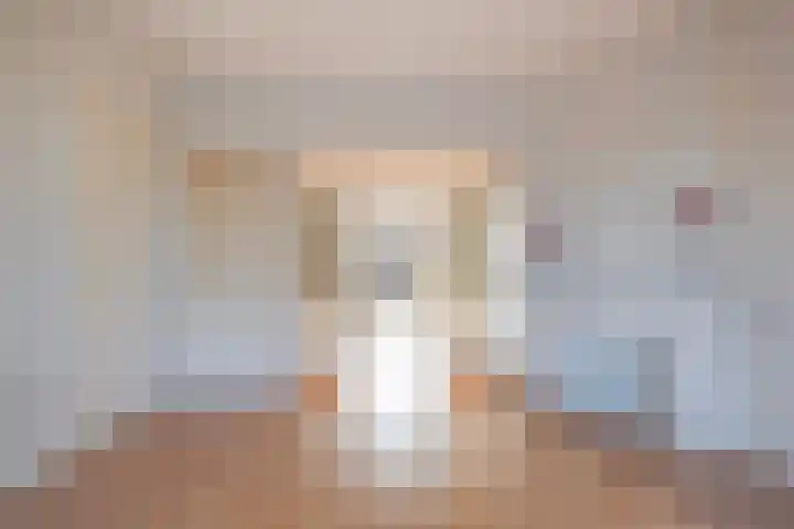 Laan van Meerdervoort 1188 Den Haag thumbnail 13