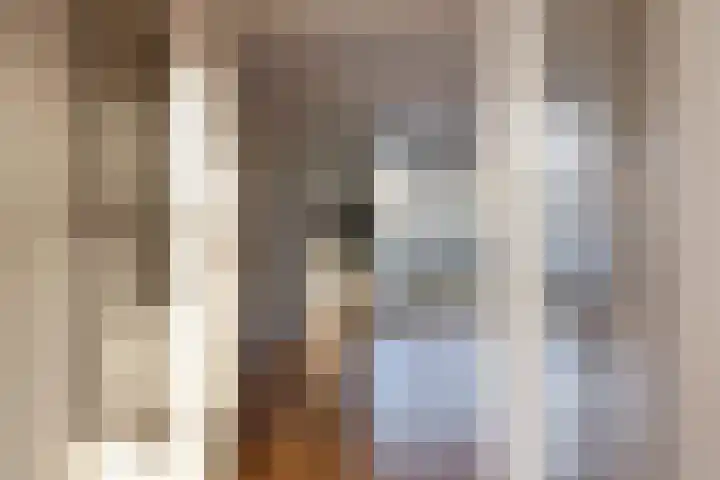 Laan van Meerdervoort 1188 Den Haag thumbnail 22