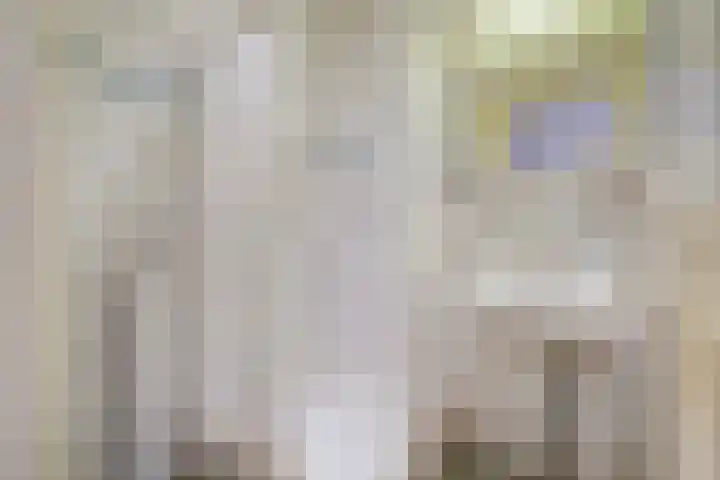 Laan van Meerdervoort 1188 Den Haag thumbnail 38