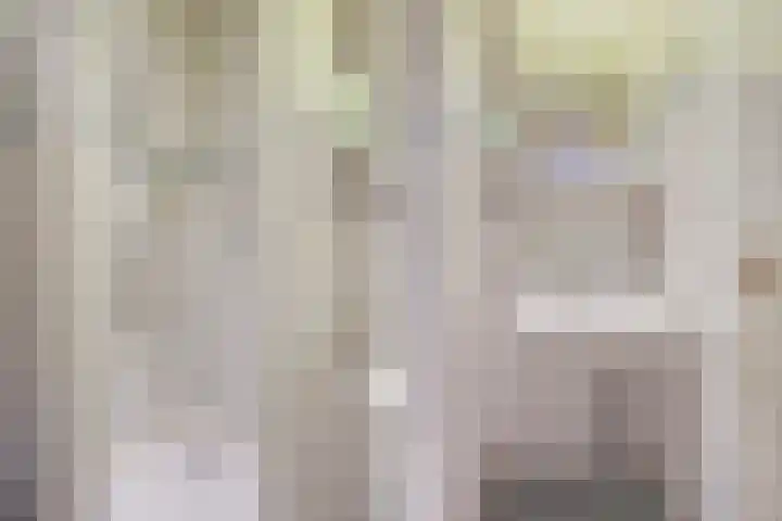 Laan van Meerdervoort 1188 Den Haag thumbnail 39
