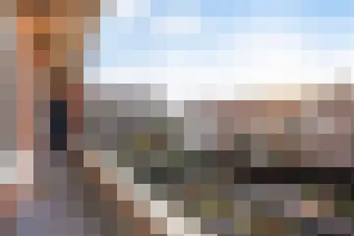 Laan van Meerdervoort 1188 Den Haag thumbnail 4
