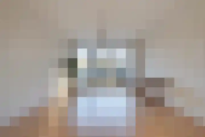 Laan van Meerdervoort 1188 Den Haag thumbnail 8