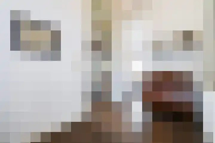 Laan van Meerdervoort 12 B Den Haag thumbnail 13