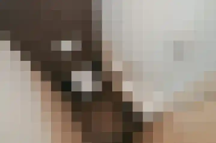 Laan van Meerdervoort 12 B Den Haag thumbnail 14