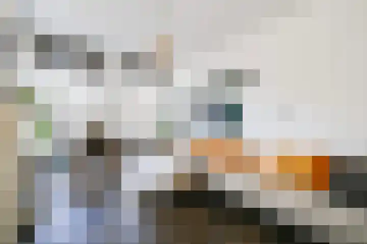 Laan van Meerdervoort 12 B Den Haag thumbnail 17