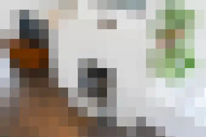 Laan van Meerdervoort 12 B Den Haag thumbnail 21