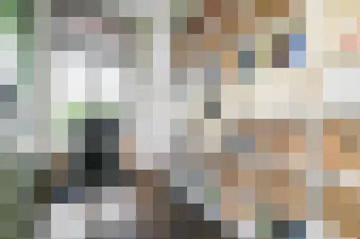 Laan van Meerdervoort 12 B Den Haag thumbnail 30