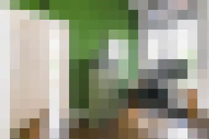 Laan van Meerdervoort 12 B Den Haag thumbnail 31