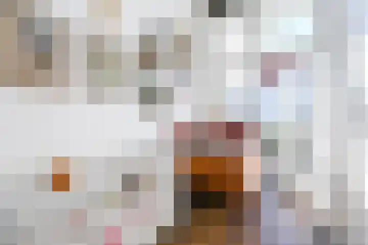 Laan van Meerdervoort 12 B Den Haag thumbnail 32