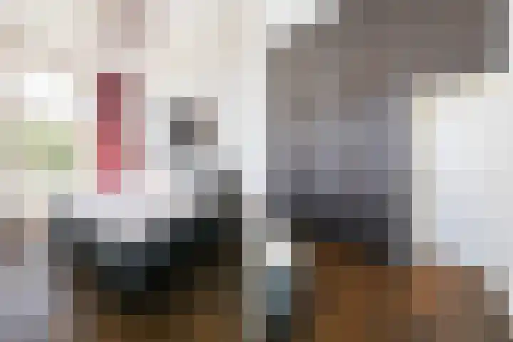 Laan van Meerdervoort 12 B Den Haag thumbnail 35