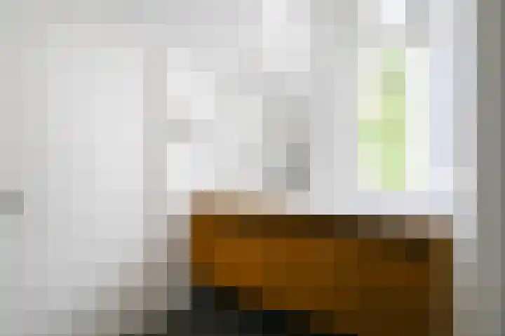 Laan van Meerdervoort 12 B Den Haag thumbnail 38
