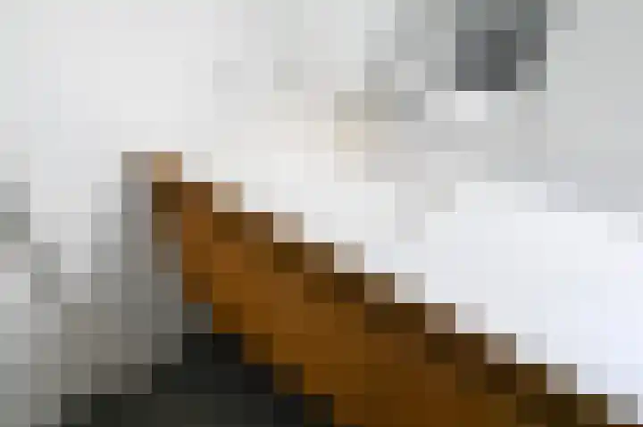 Laan van Meerdervoort 12 B Den Haag thumbnail 39