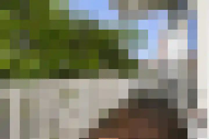 Laan van Meerdervoort 12 B Den Haag thumbnail 45