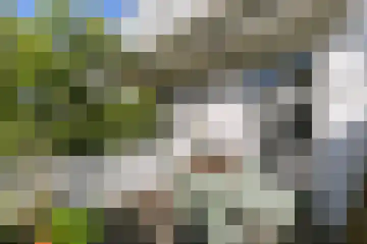 Laan van Meerdervoort 12 B Den Haag thumbnail 47