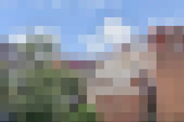 Laan van Meerdervoort 120 C Den Haag thumbnail 15