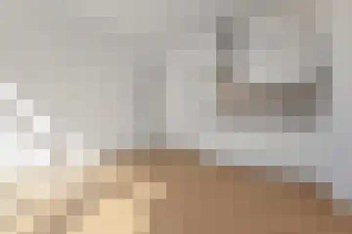Laan van Meerdervoort 120 C Den Haag thumbnail 4