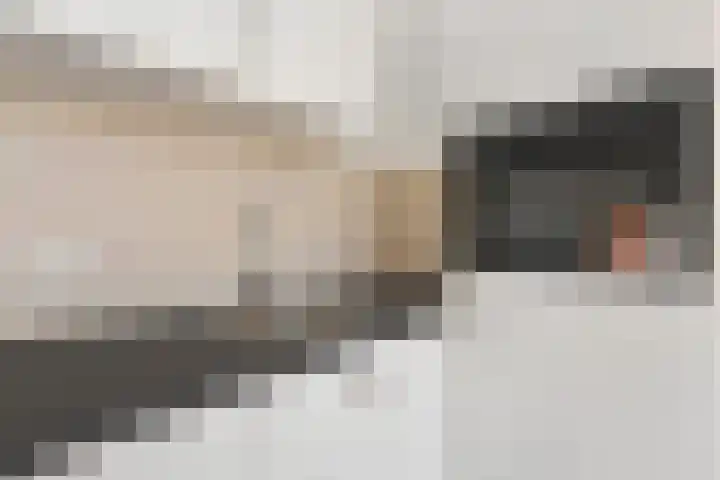 Laan van Meerdervoort 120 C Den Haag thumbnail 7