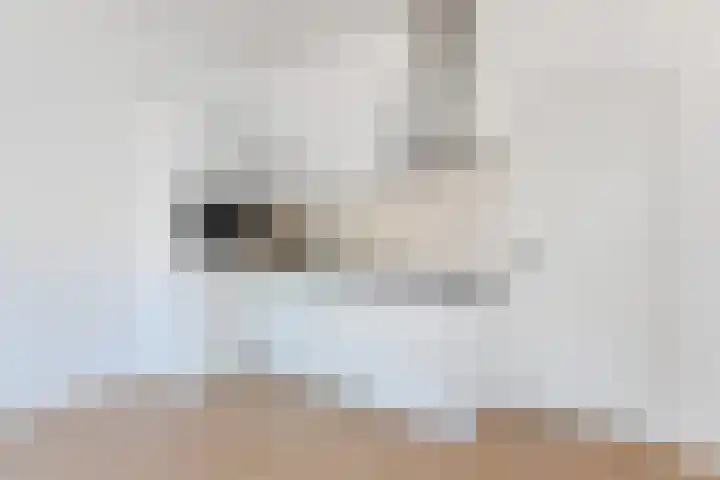 Laan van Meerdervoort 120 Den Haag thumbnail 6