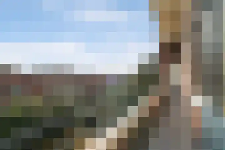 Laan van Meerdervoort 1202 Den Haag thumbnail 11