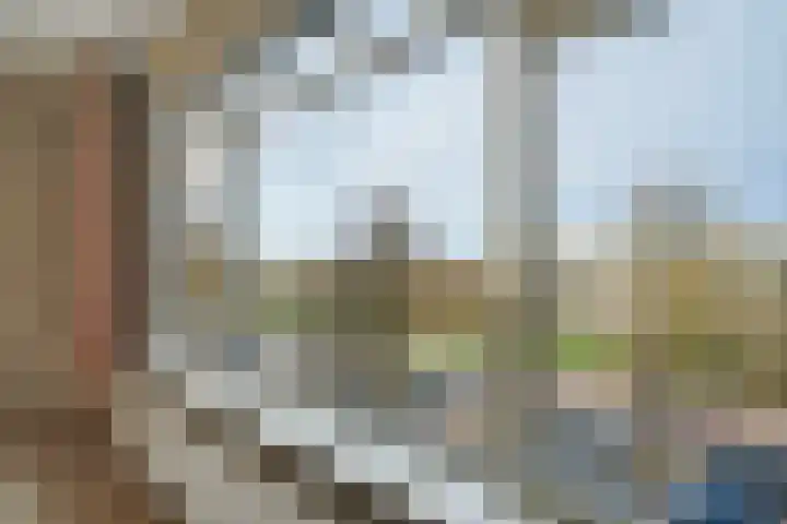 Laan van Meerdervoort 1202 Den Haag thumbnail 20