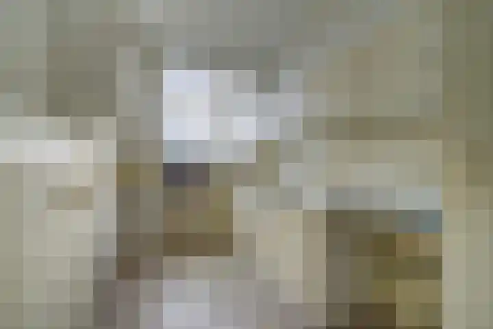 Laan van Meerdervoort 1202 Den Haag thumbnail 23
