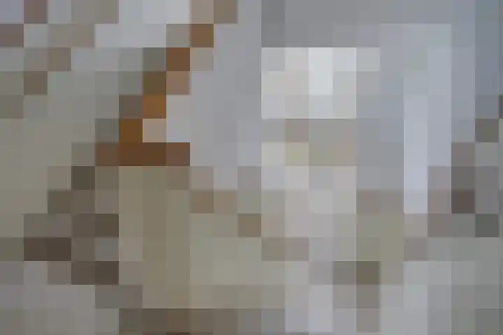 Laan van Meerdervoort 1202 Den Haag thumbnail 30