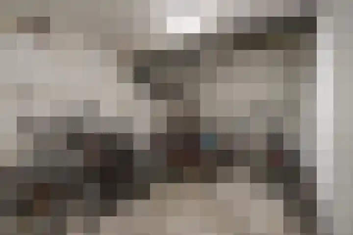 Laan van Meerdervoort 1202 Den Haag thumbnail 32