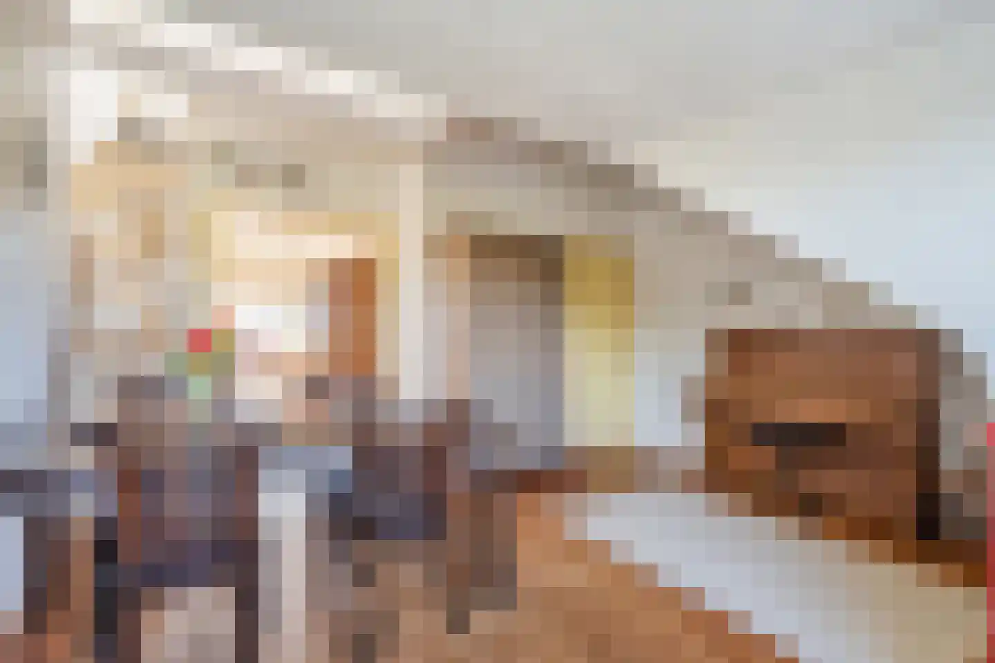 Laan van Meerdervoort 1204 Den Haag thumbnail 17