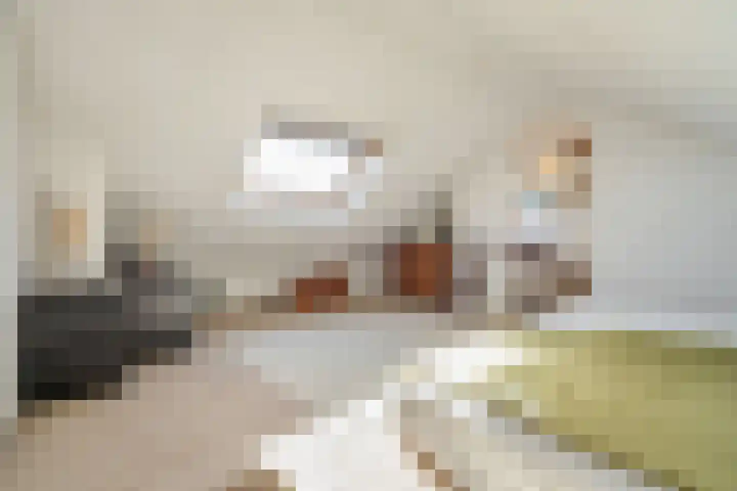 Laan van Meerdervoort 1204 Den Haag thumbnail 19
