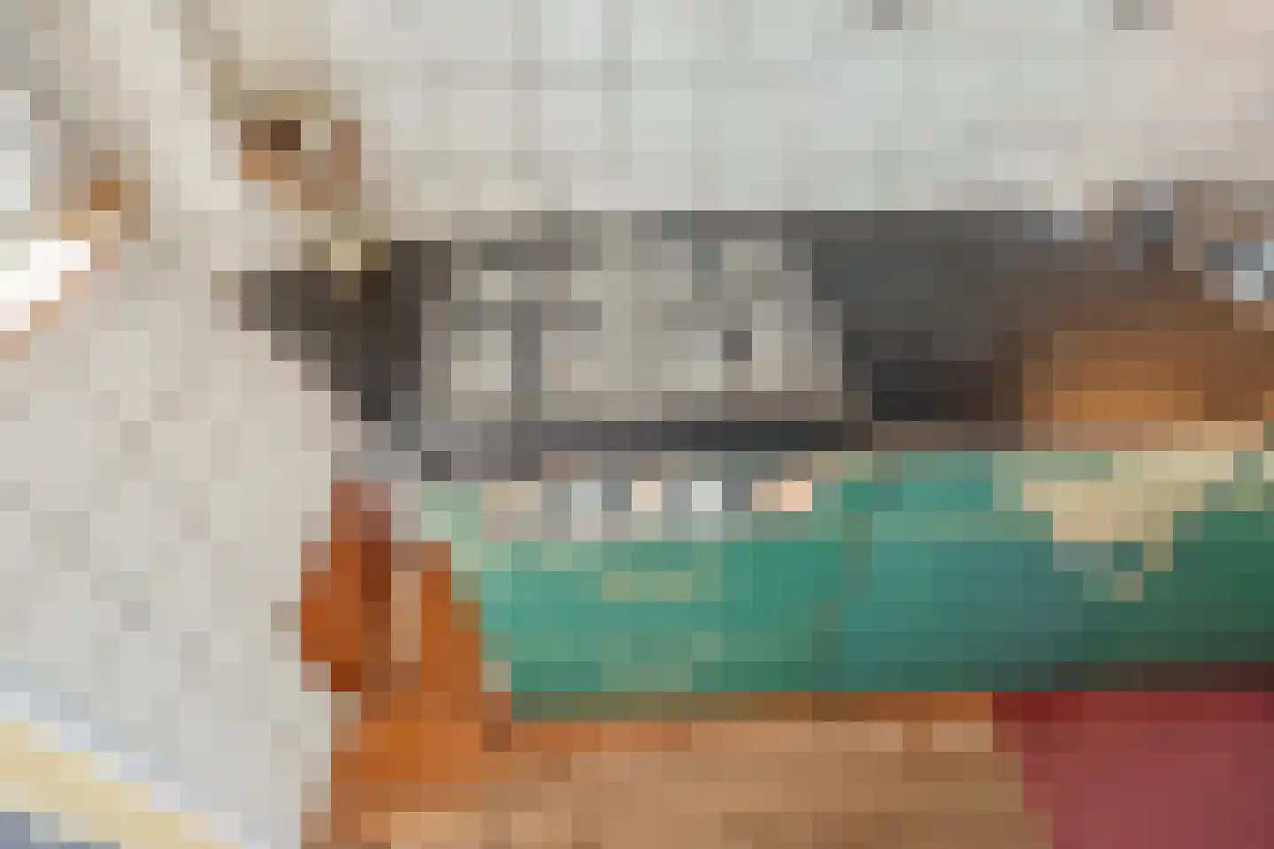 Laan van Meerdervoort 1204 Den Haag thumbnail 27