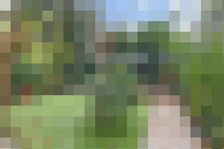 Laan van Meerdervoort 1208 Den Haag thumbnail 18