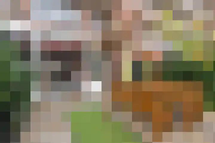 Laan van Meerdervoort 1208 Den Haag thumbnail 21