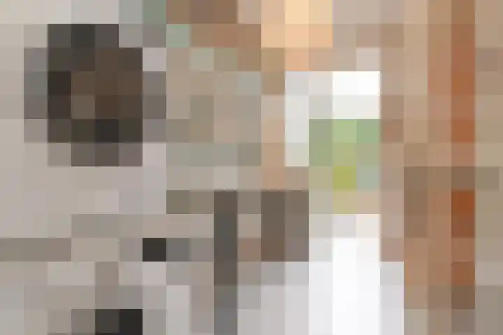 Laan van Meerdervoort 1208 Den Haag thumbnail 31