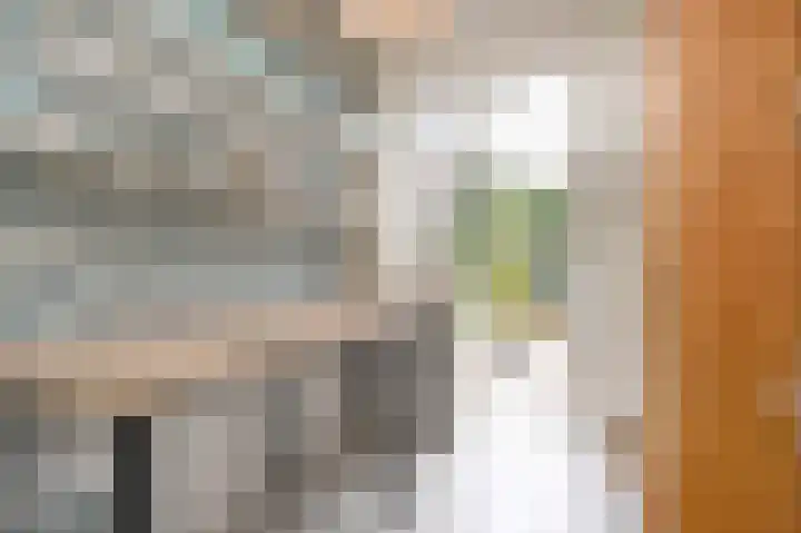 Laan van Meerdervoort 1208 Den Haag thumbnail 32
