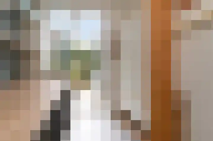 Laan van Meerdervoort 1208 Den Haag thumbnail 33