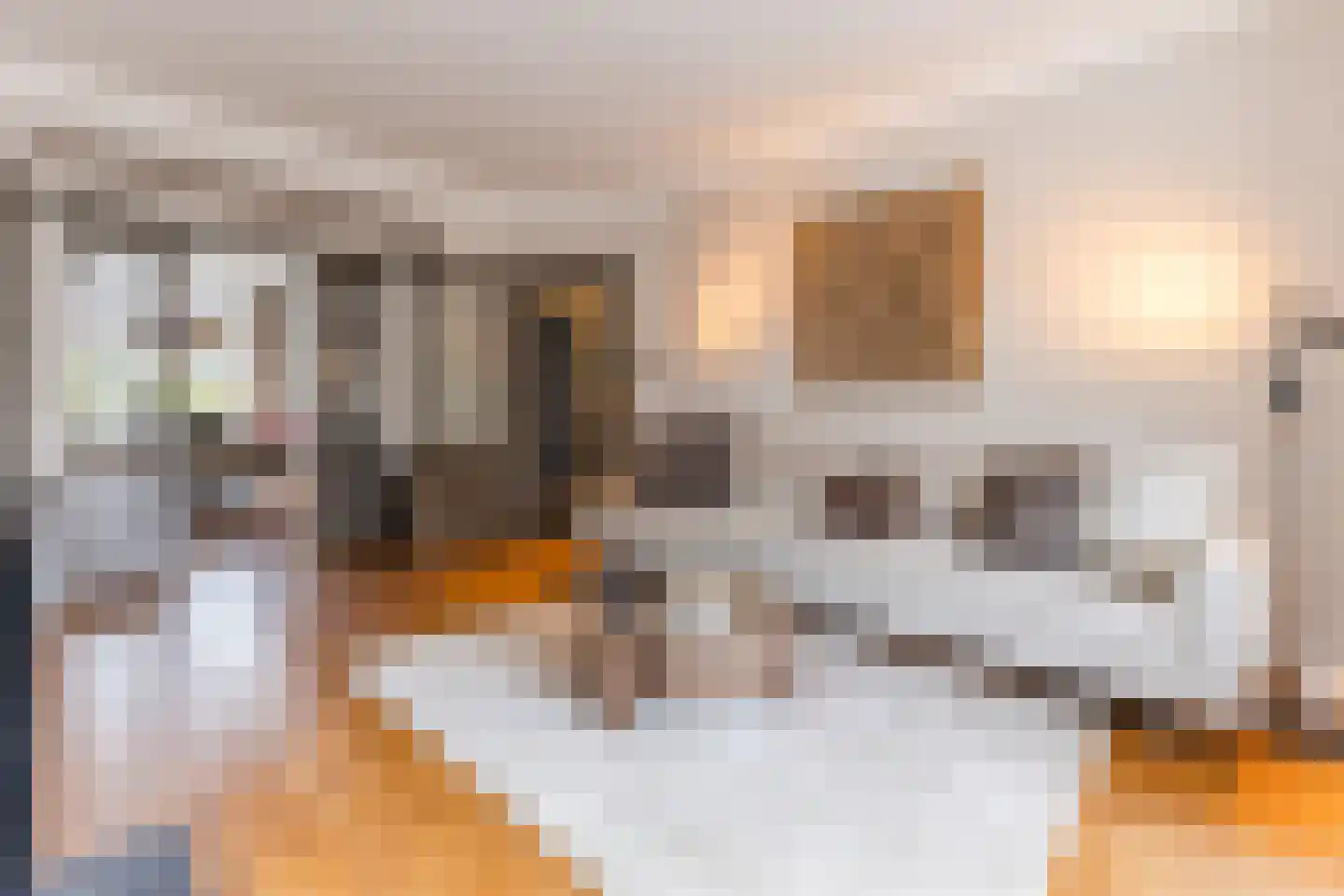 Laan van Meerdervoort 1209 Den Haag thumbnail 11