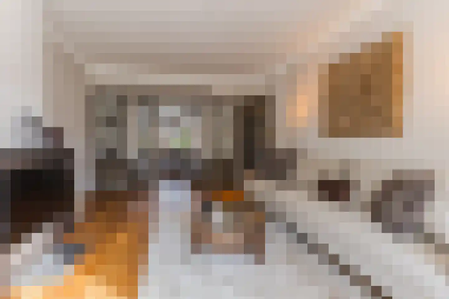 Laan van Meerdervoort 1209 Den Haag thumbnail 12