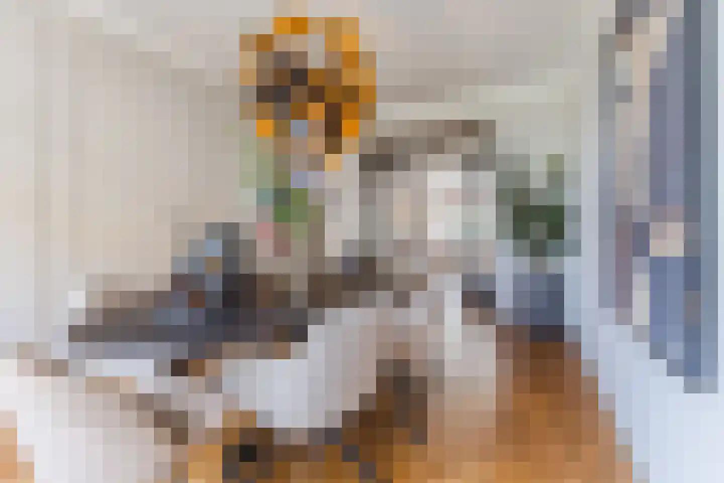 Laan van Meerdervoort 1209 Den Haag thumbnail 17