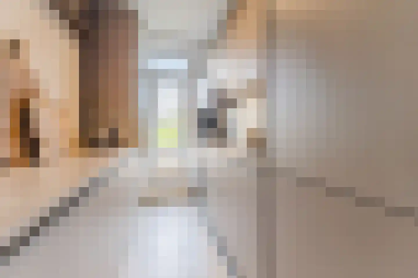 Laan van Meerdervoort 1209 Den Haag thumbnail 18